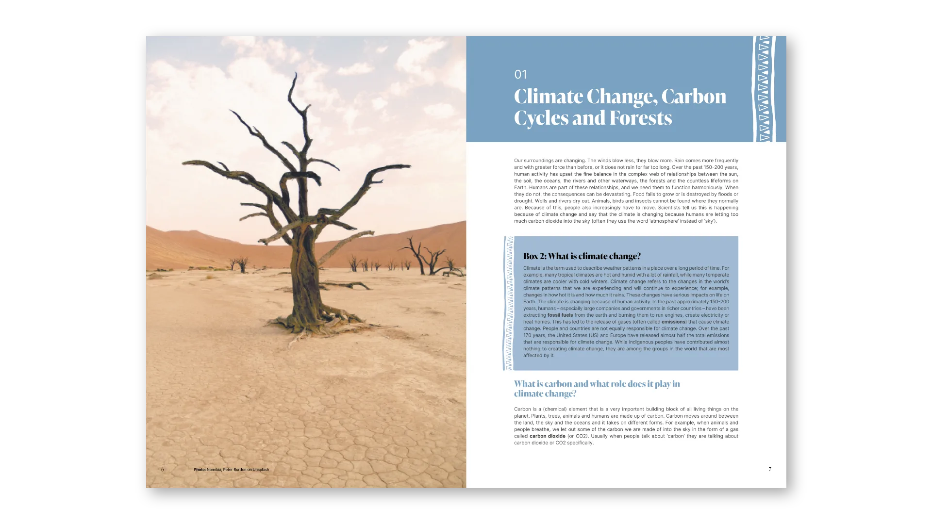 Explainer 01: Climate change, carbon cycles and forests