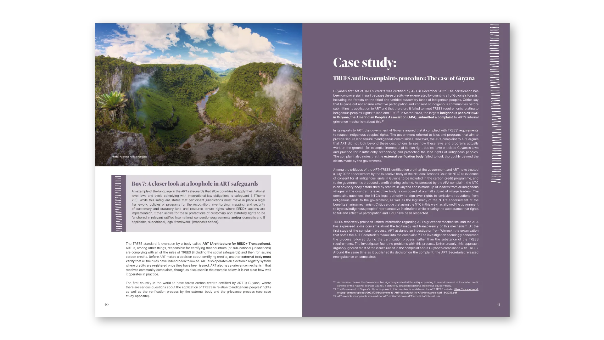 Case study: TREES and the case of Guyana