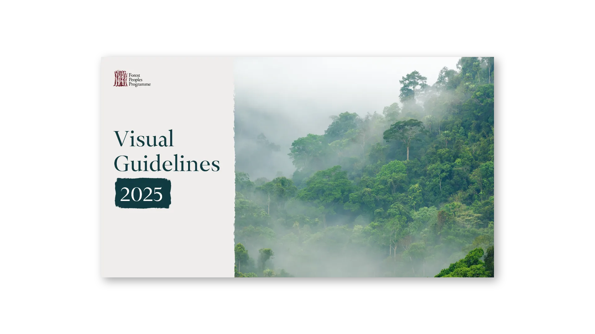 Visual Guidelines