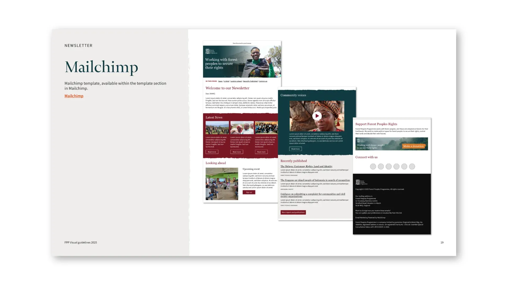 Mailchimp newsletter template