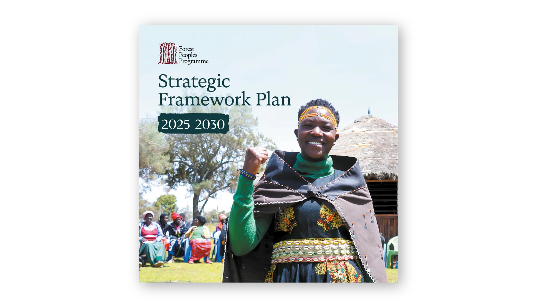 Strategic Framework Plan 2025–2030