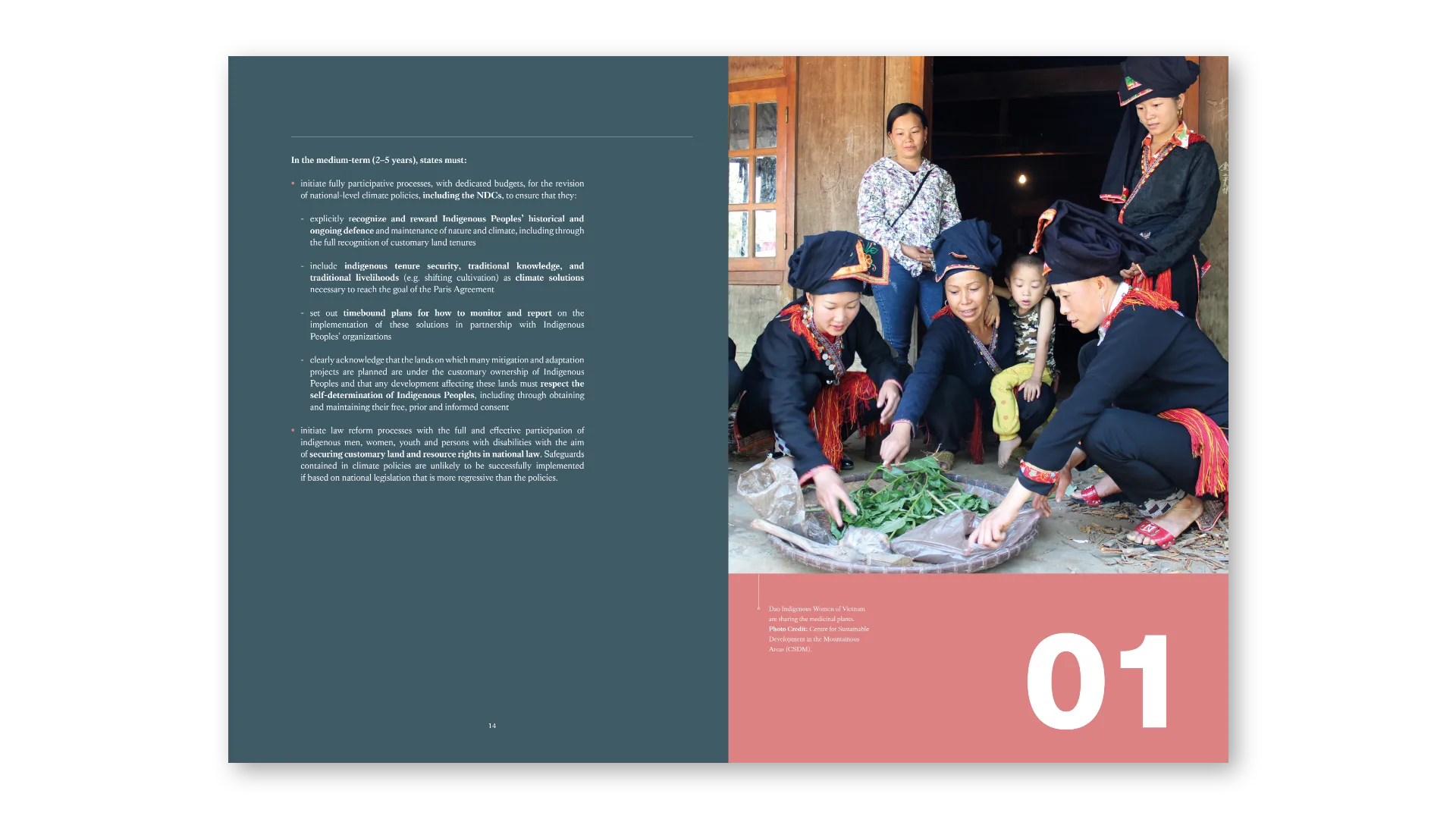 Chapter opener: photography over colour-blocked introduction