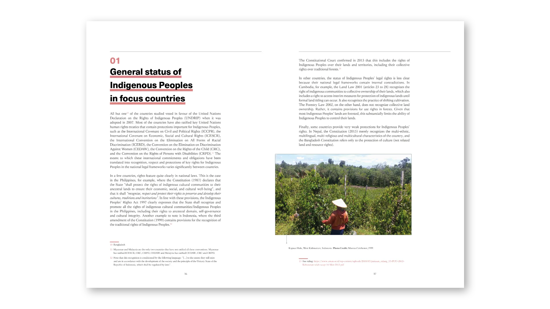 General status of Indigenous Peoples in focus countries