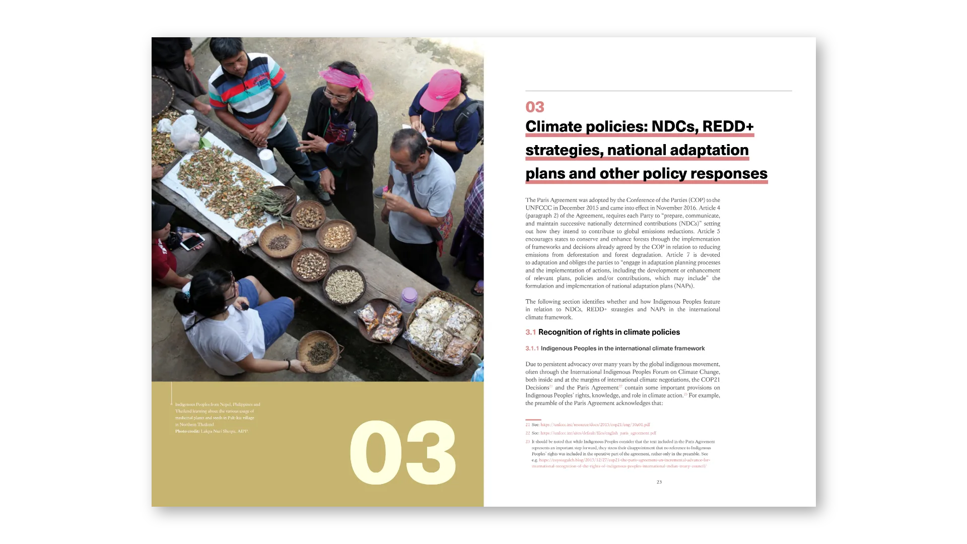 Climate policies: NDCs, REDD+ strategies and national adaptation plans