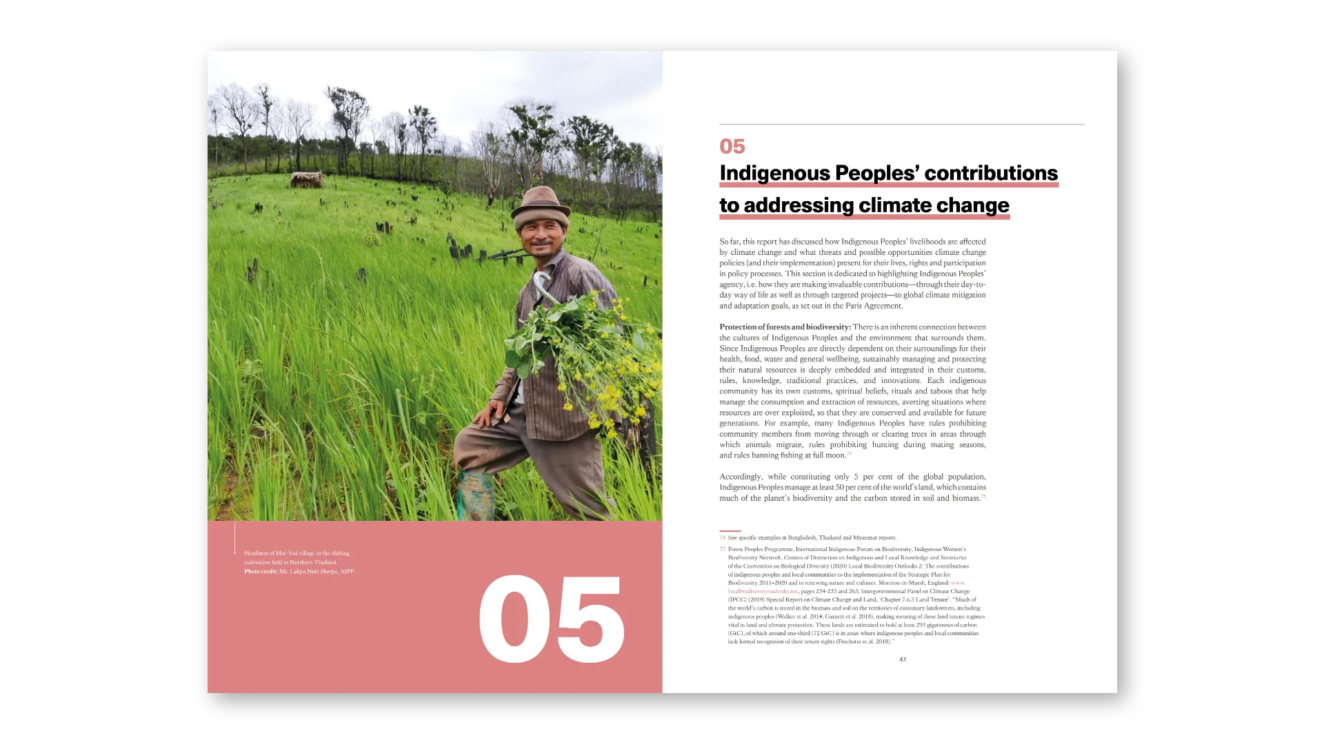 Indigenous Peoples’ contributions to addressing climate change