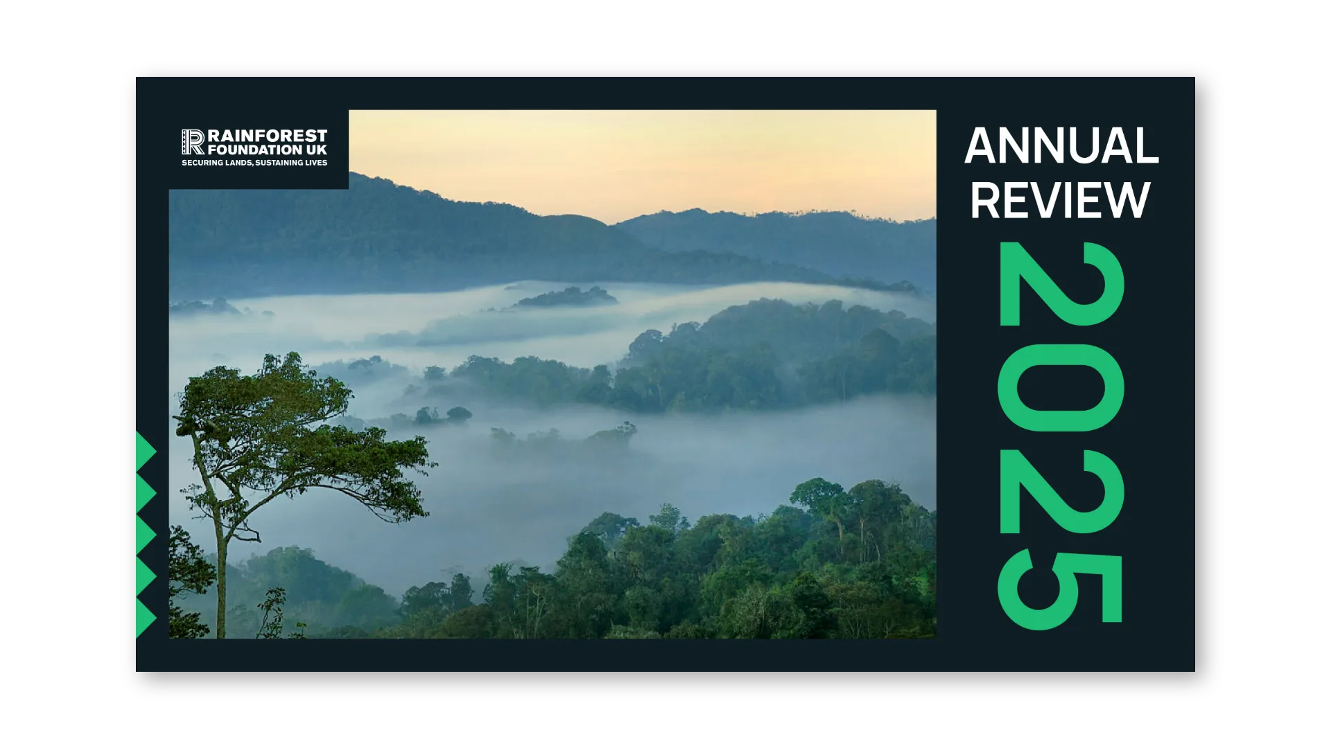 Annual Review 2025